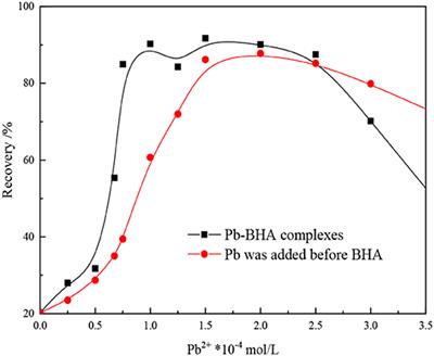Structures of Pb-BHA Complexes Adsorbed on Scheelite Surface
